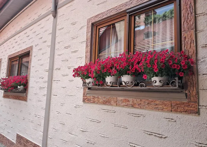 Hotel Claudiu